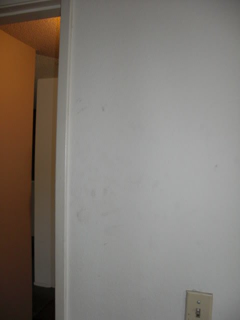 Dirty_Wall_Needing_To_Be_Cleaned.jpg
